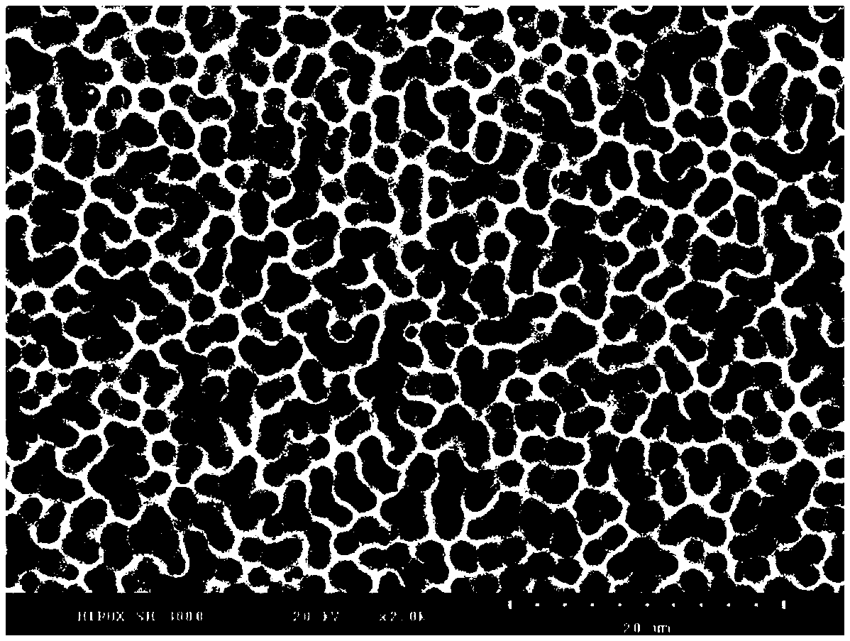 CO2 responsive regular mesh material and preparation method thereof