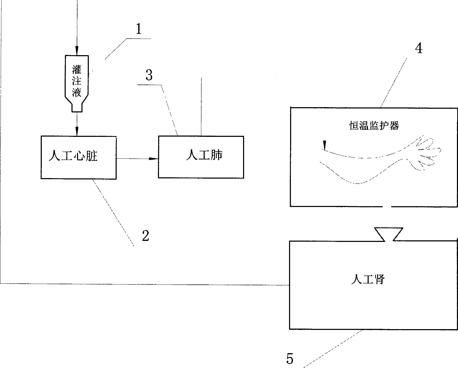 Amputative limb and finger fostering apparatus