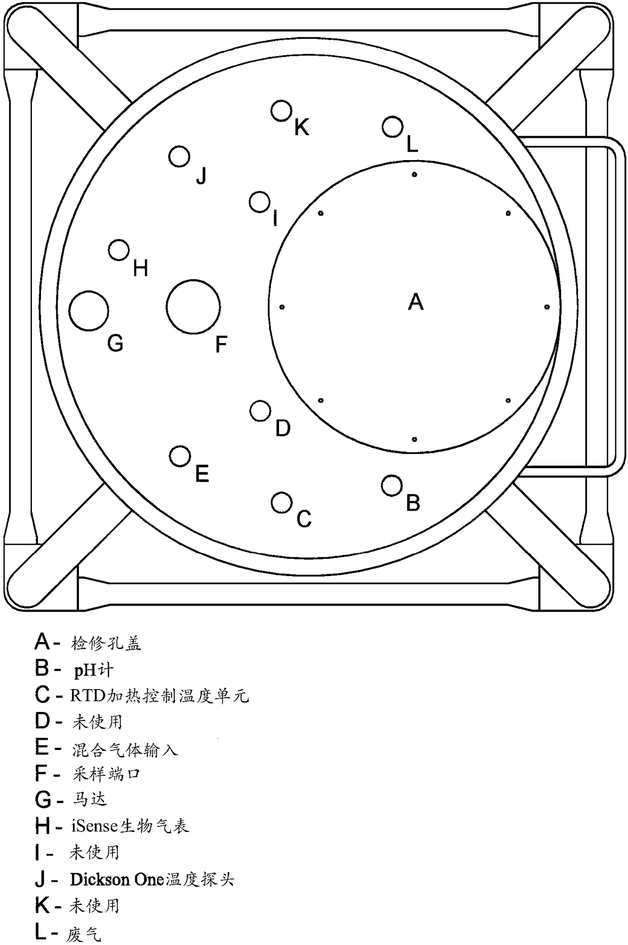 Process for production and extraction of dihydrolipoic acid