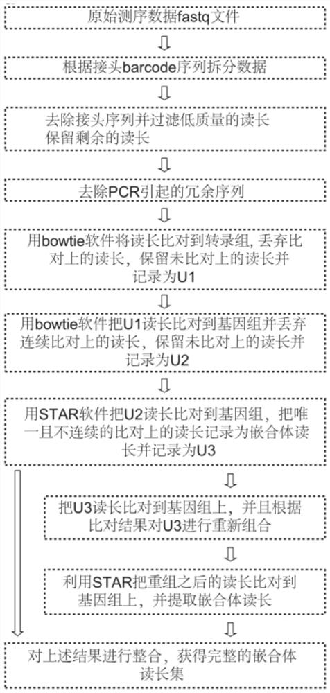 A method for obtaining a highly efficient binding substrate sequence of adar protein in cells, as well as the substrate sequence and application