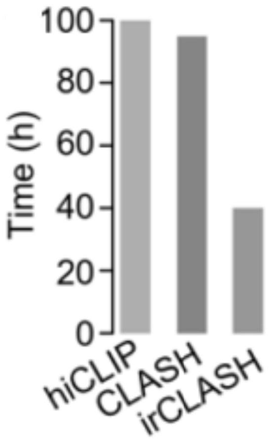 A method for obtaining a highly efficient binding substrate sequence of adar protein in cells, as well as the substrate sequence and application