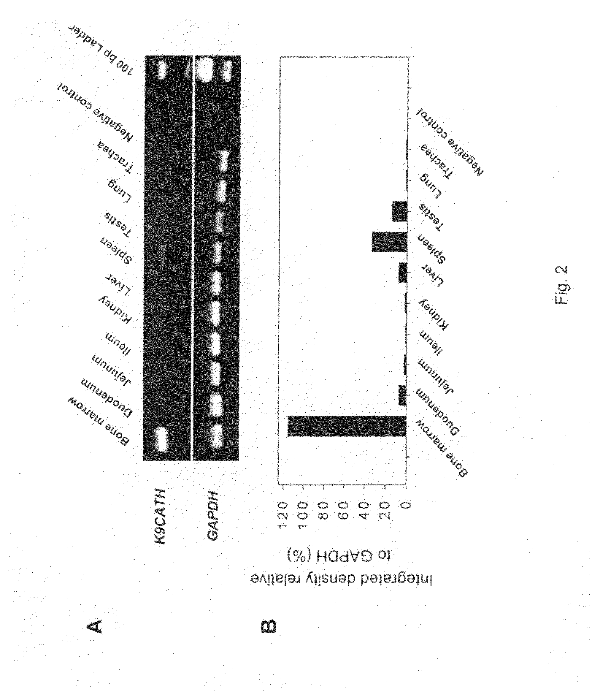 Antimicrobial Cathelicidin Peptides