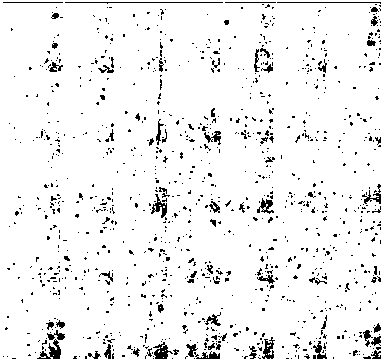 All view field statistics expression method of alloy microstructure via fluid micro-detection strain