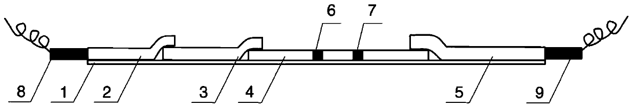 Immune lateral chromatography detection method and device for carrying out external drive on biomarker