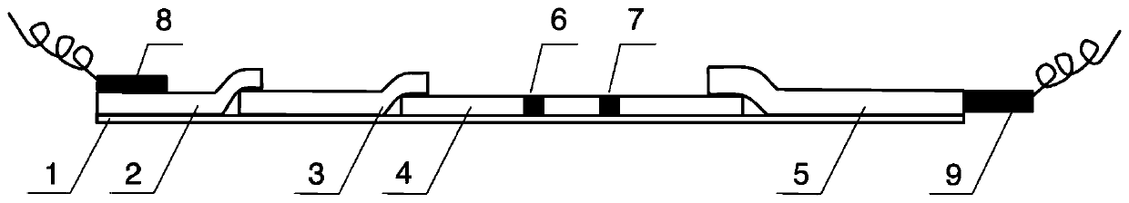 Immune lateral chromatography detection method and device for carrying out external drive on biomarker