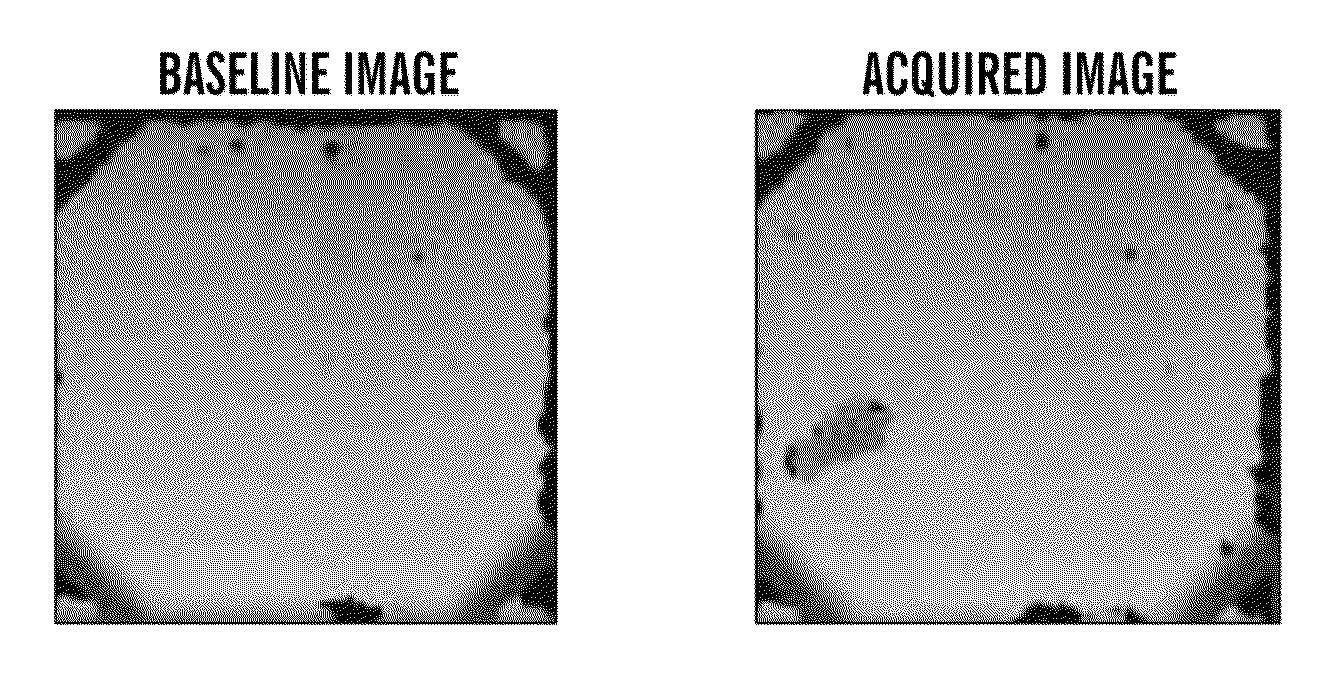 System and method for automatically discovering, characterizing, classifying and semi-automatically labeling animal behavior and quantitative phenotyping of behaviors in animals