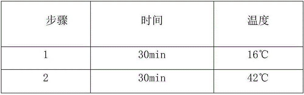 MiRNA-122 detection kit and application thereof