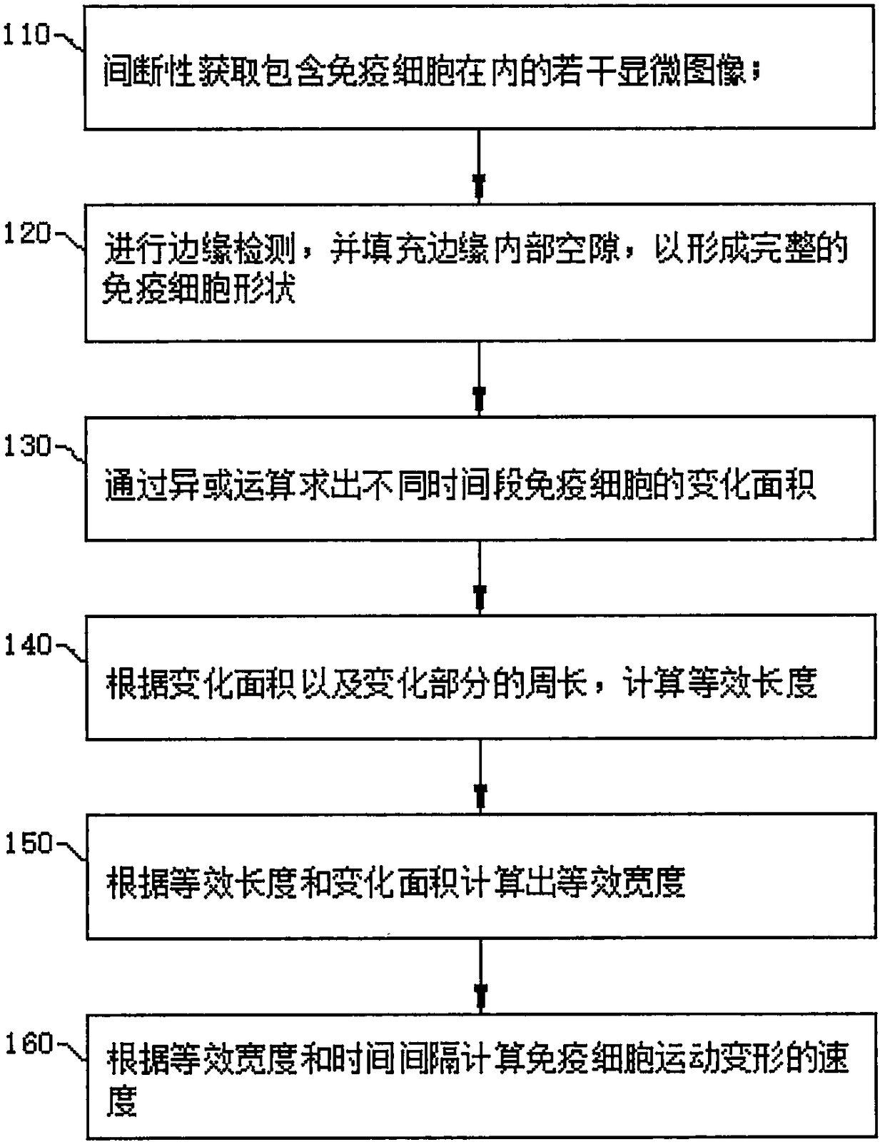 Immune cells movement speed detection method and system thereof