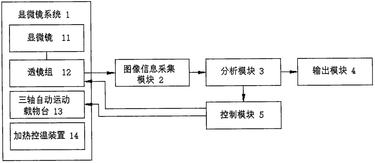 Immune cells movement speed detection method and system thereof