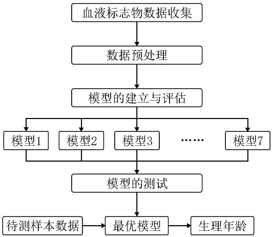 Method for predicting age by using blood marker