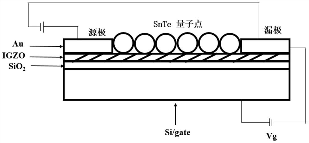 Quantum dot mid-infrared photoelectric detector and preparation method thereof