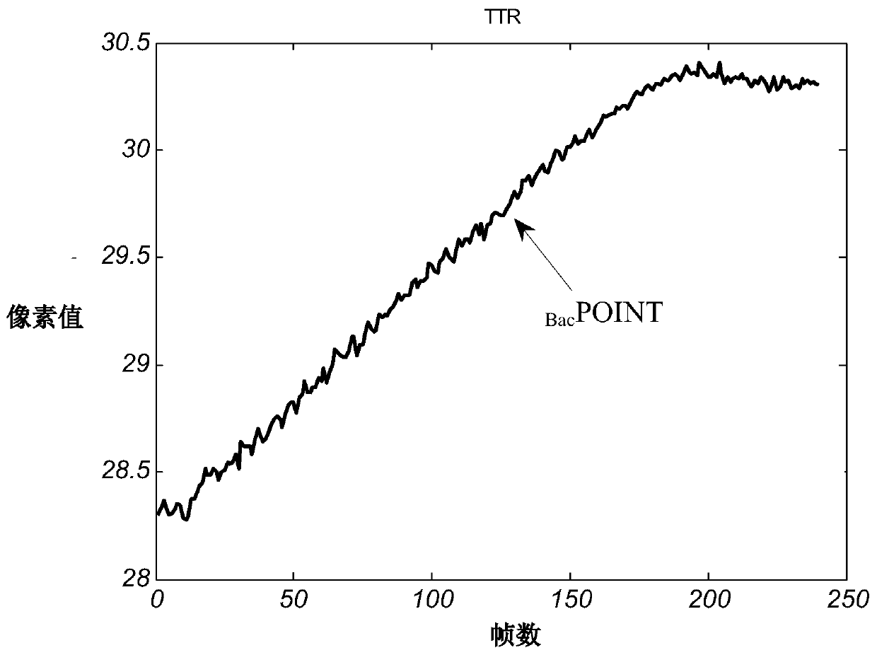 Infrared thermal image defect feature recognition method based on dynamic multi-objective optimization