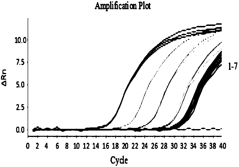 DPO primer pair for TGEV detection, kit containing same and application thereof