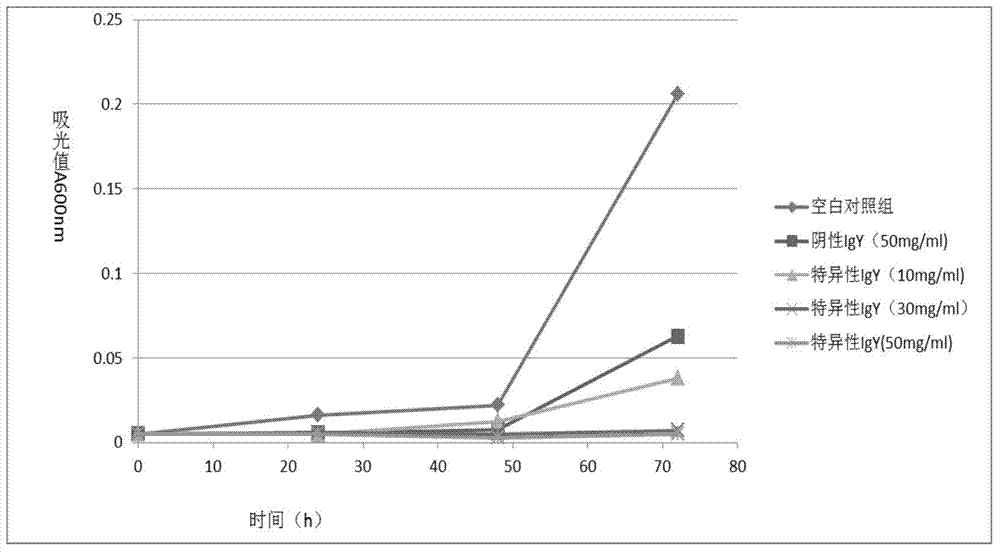 Preparation for specific aspergillus fumigatus infection resisting chicken egg yolk antibody and application