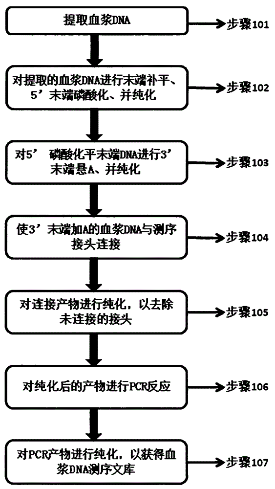 Method and kit for quickly building plasma DNA sequencing library