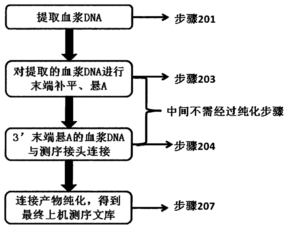 Method and kit for quickly building plasma DNA sequencing library