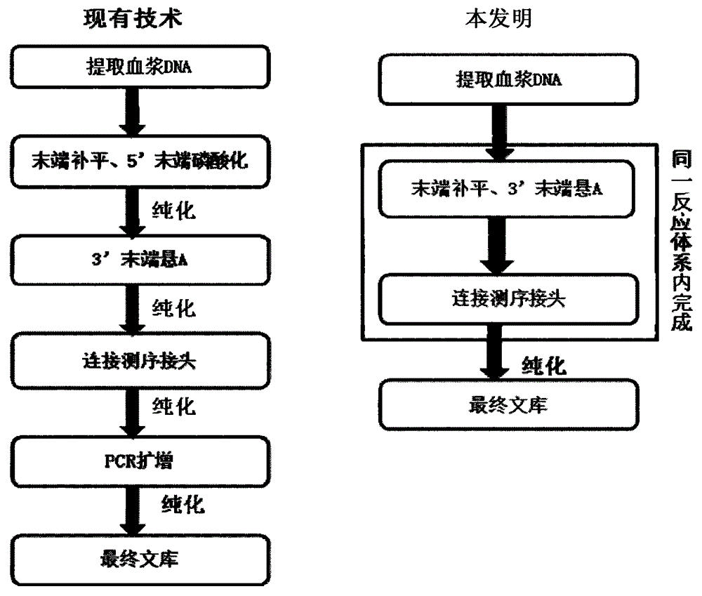 Method and kit for quickly building plasma DNA sequencing library