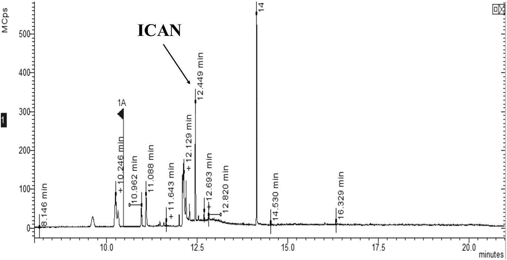 Detection method for iodine acetonitrile in water