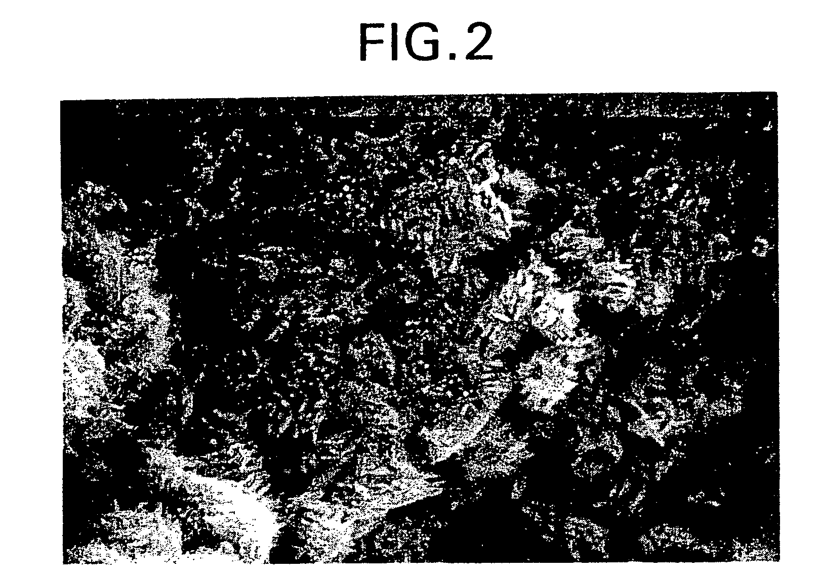 Coated zeolite catalysts and use for hydrocarbon conversion