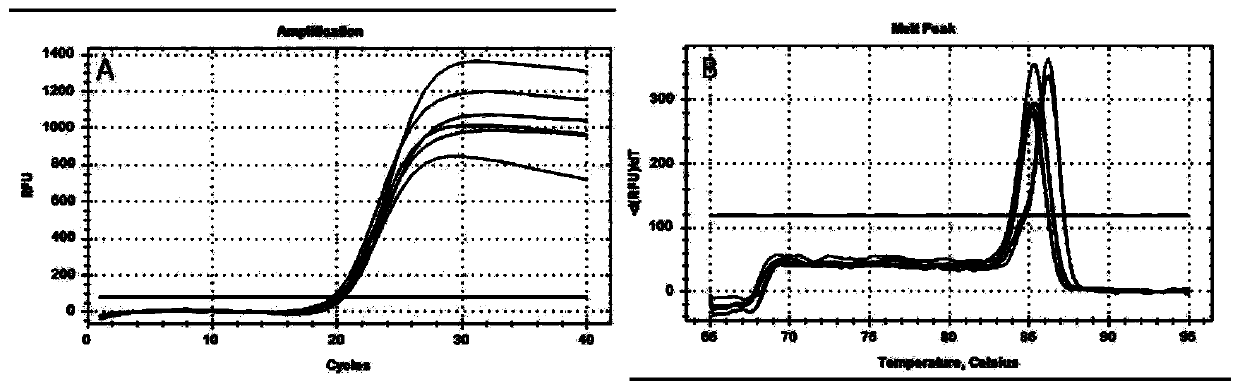 TaqMan fluorescent quantitative PCR method for identifying pork components by utilizing CACA gene and application thereof