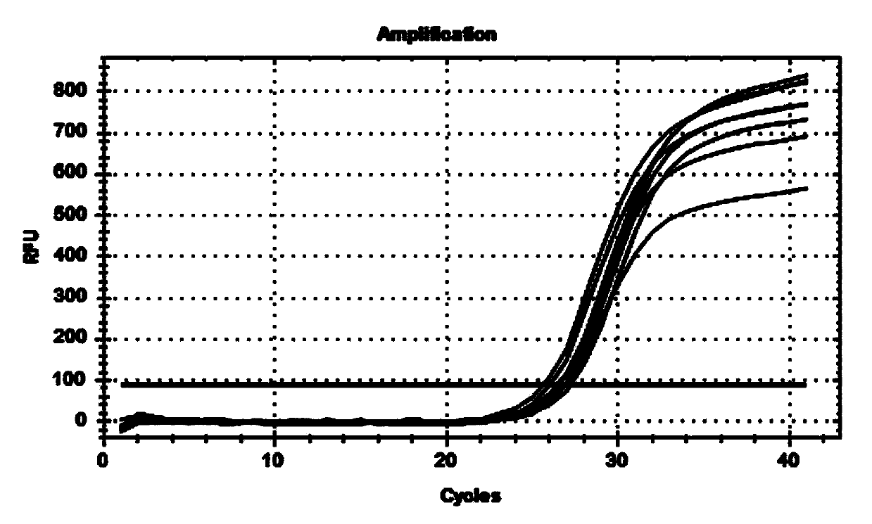 TaqMan fluorescent quantitative PCR method for identifying pork components by utilizing CACA gene and application thereof