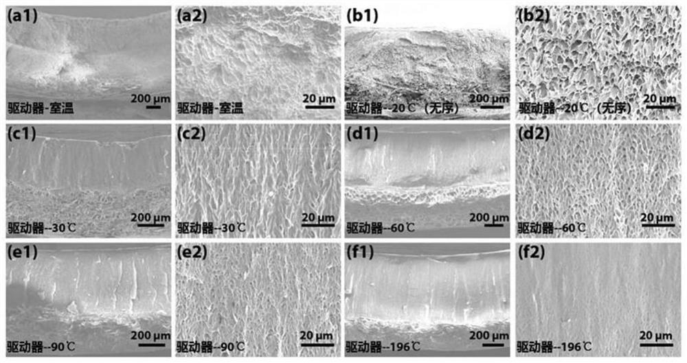 Preparation method of porous-structure double-layer gelatin hydrogel driver