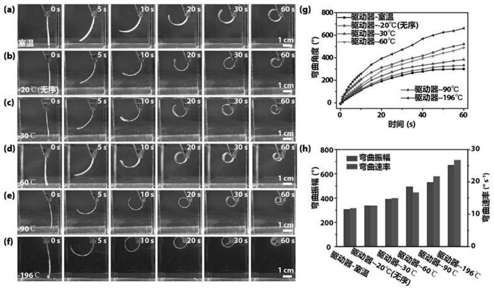 Preparation method of porous-structure double-layer gelatin hydrogel driver