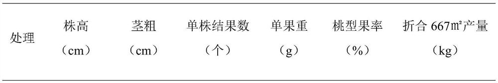 Organic-inorganic compound fertilizer special for ginseng fruits and preparation method thereof