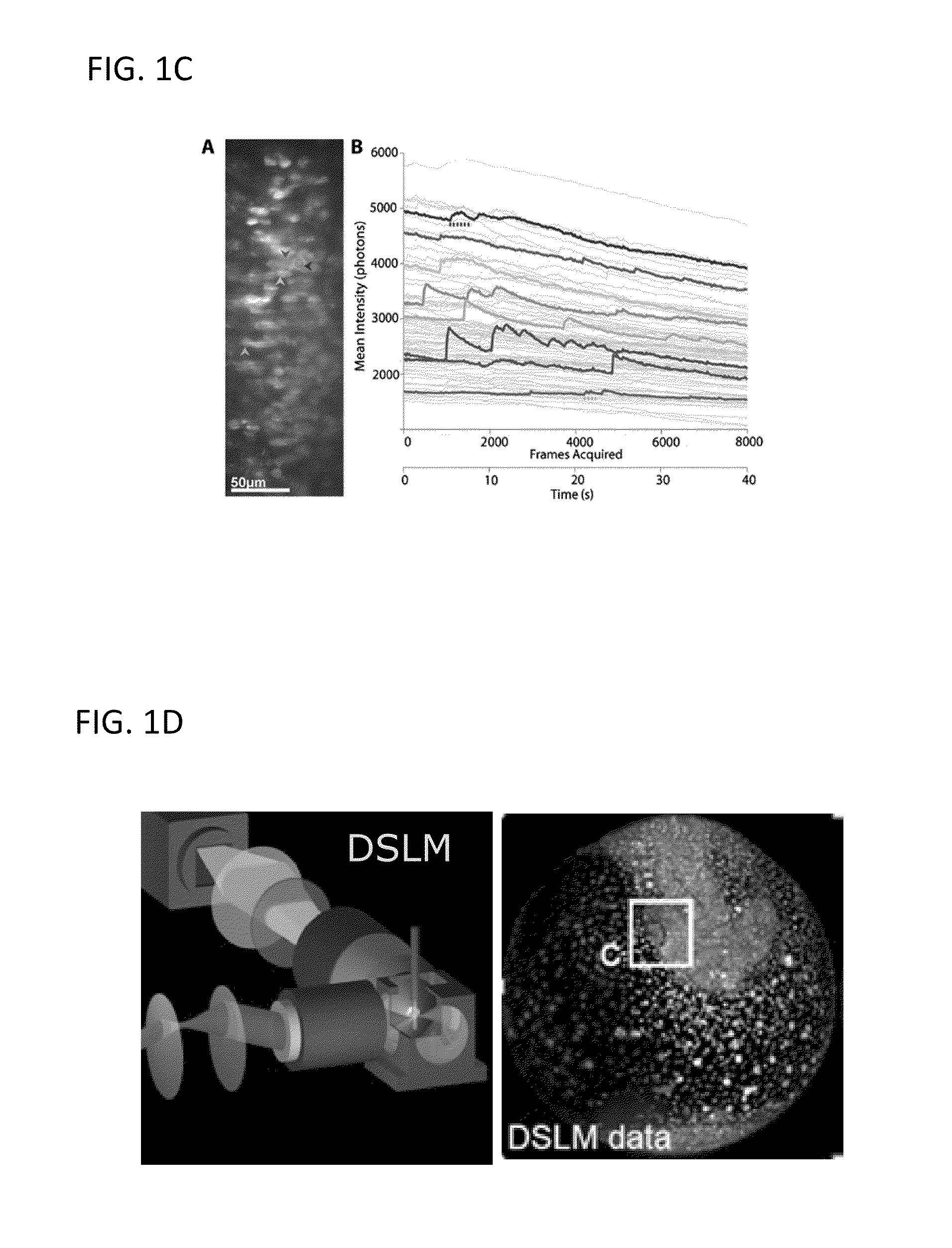 Dual-mode raster point scanning/light sheet illumination microscope