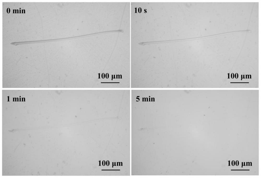 High-steric-hindrance urea bond-containing curing agent as well as preparation method and application thereof