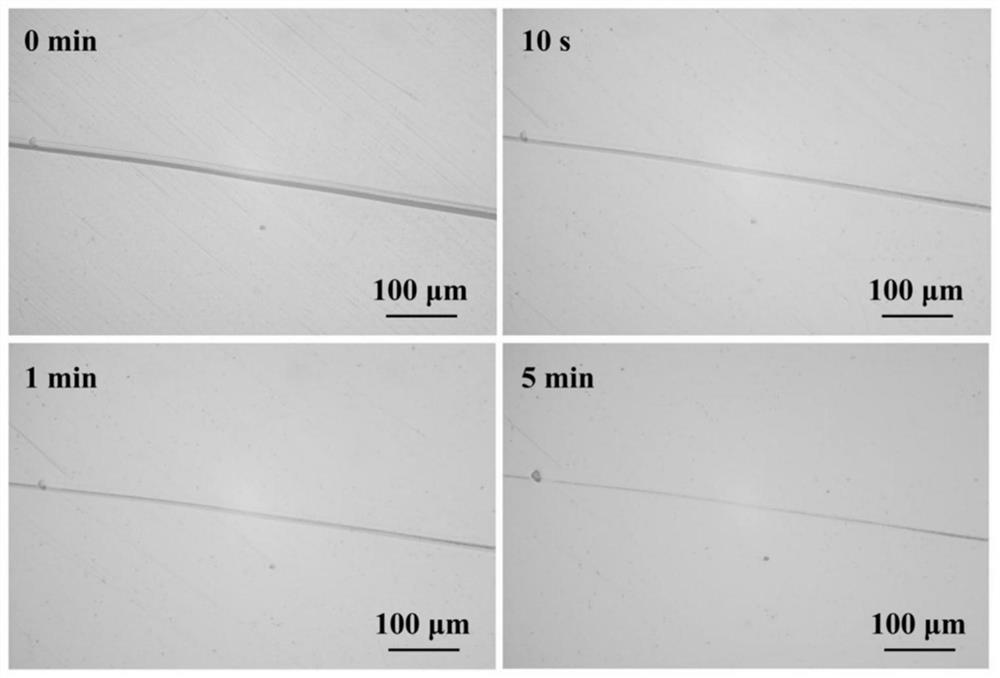 High-steric-hindrance urea bond-containing curing agent as well as preparation method and application thereof