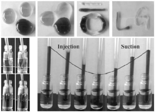 Self-repairing supermolecule hydrogel as well as preparation method and use thereof