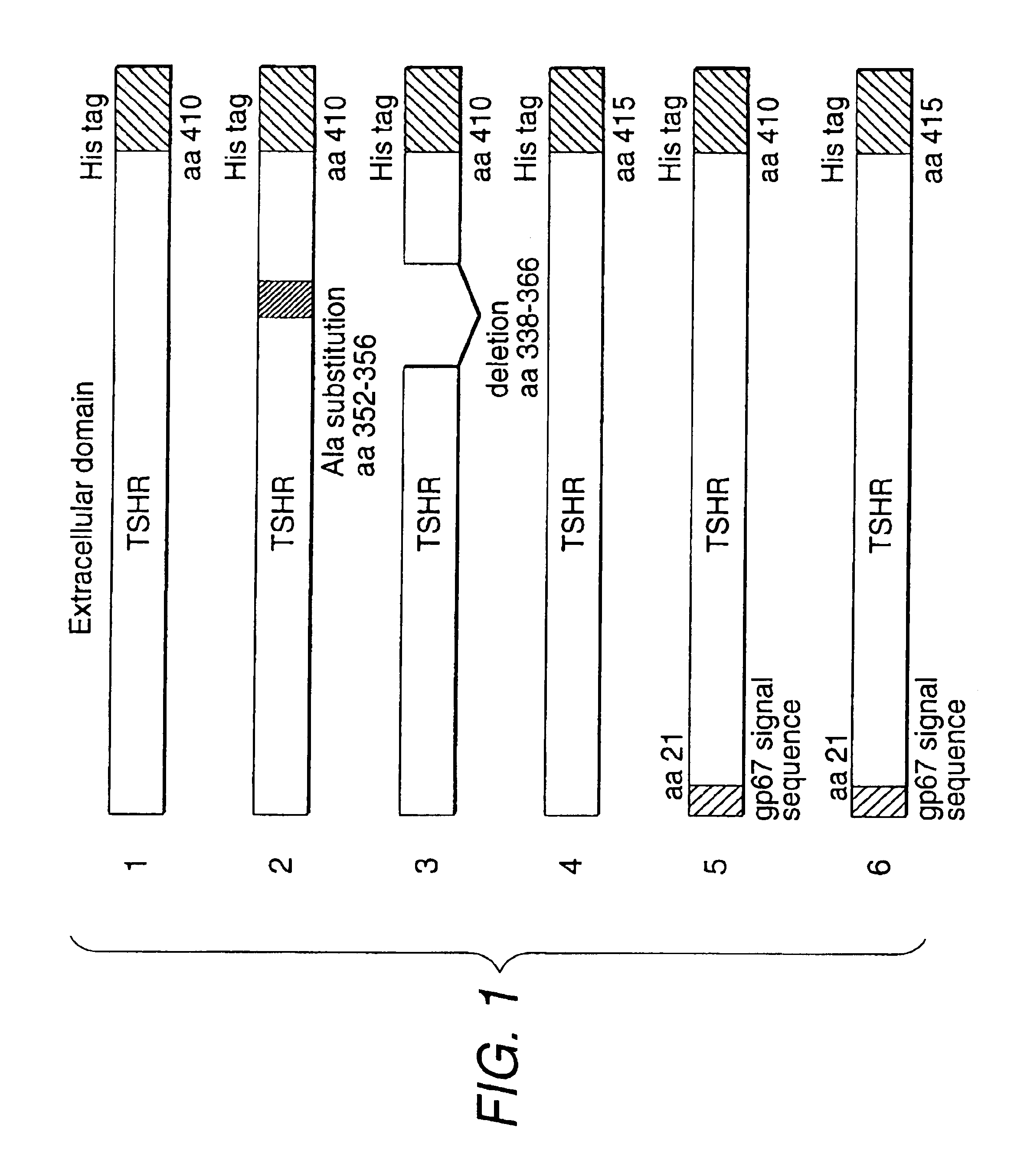 Secretory thyroid stimulating hormone receptor, and method for assaying anti-thyroid stimulating hormone receptor antibody using the same