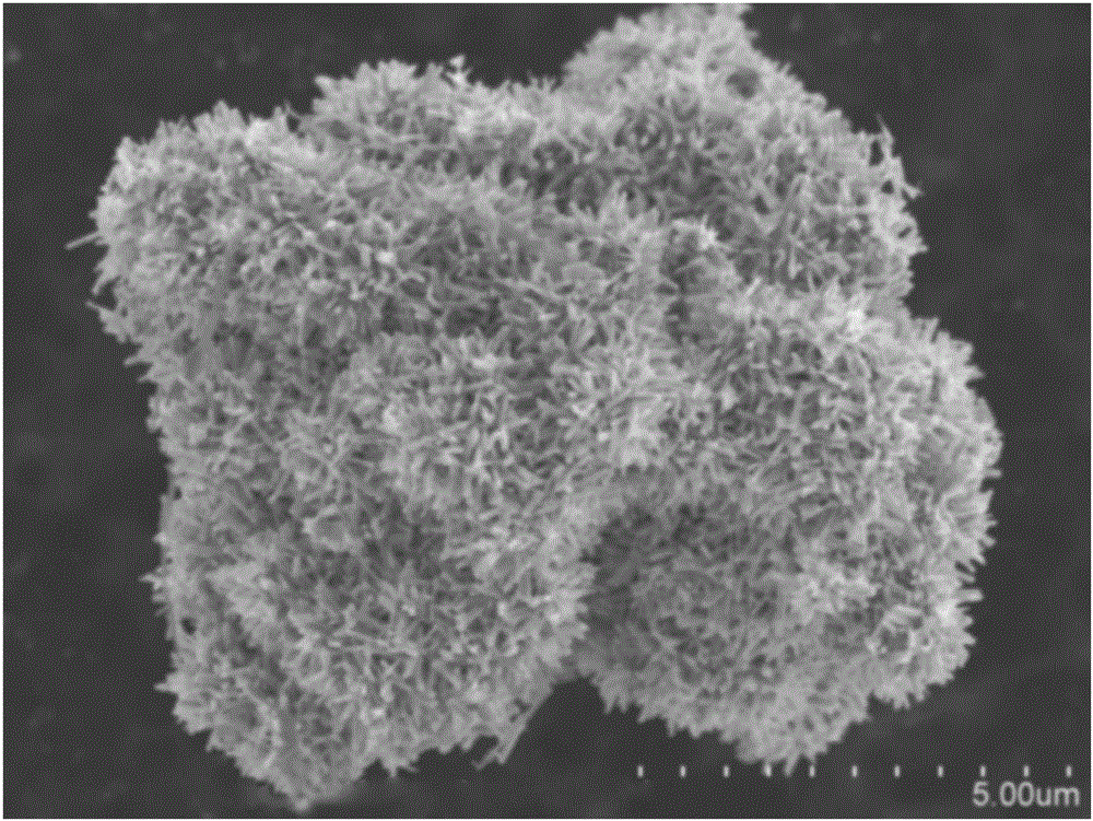 Air purifying filter screen and preparation method thereof