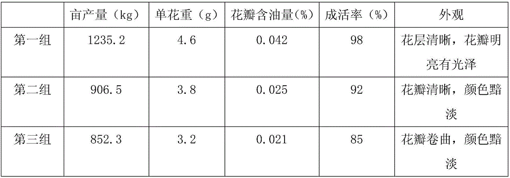 Rose planting method