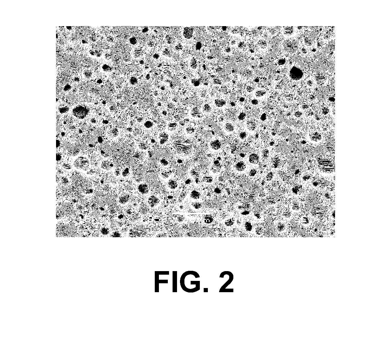 Method of fabricating a porous elastomer