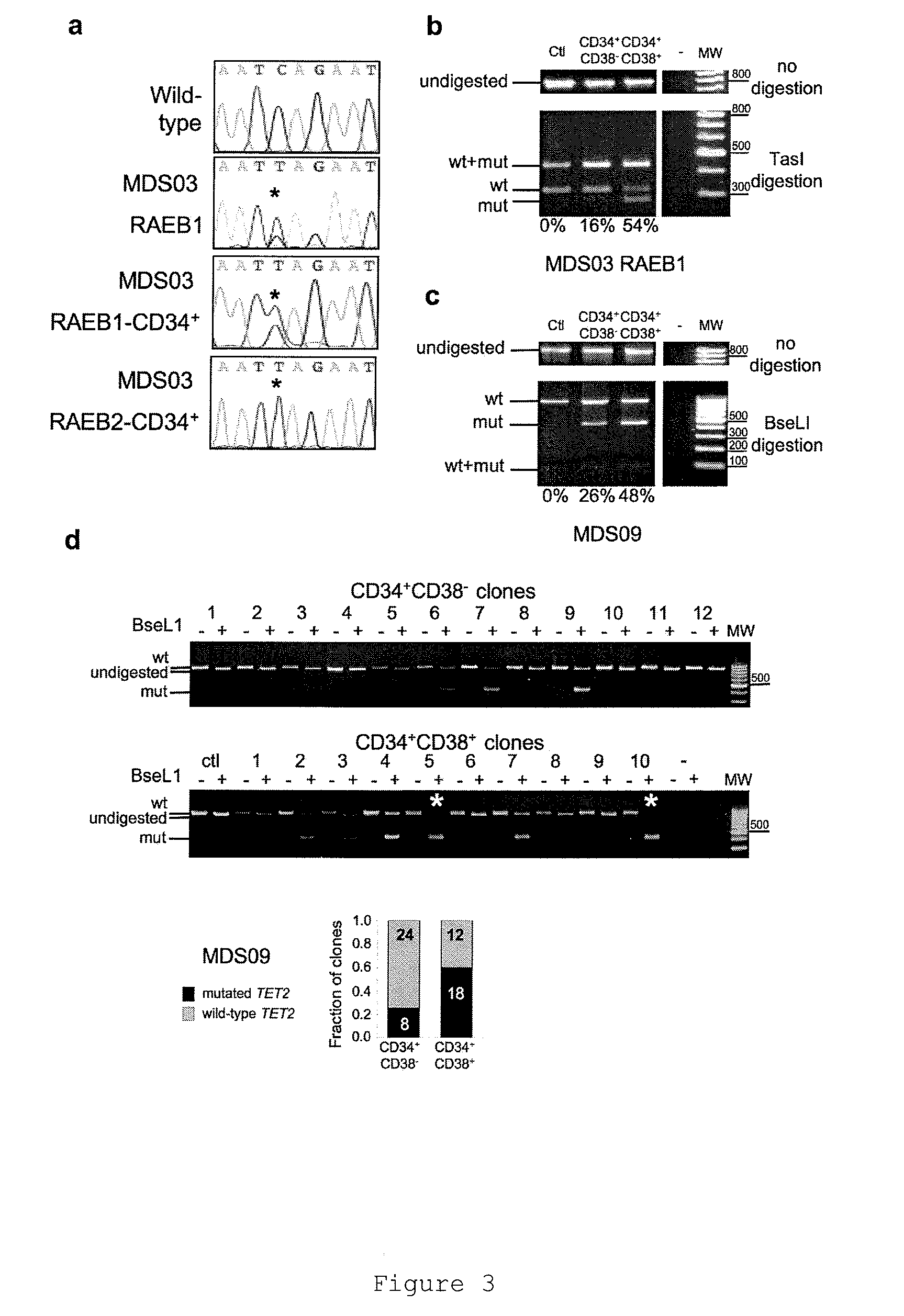 TET2 as a new diagnostic and pronostic marker in hematopoietic neoplasms