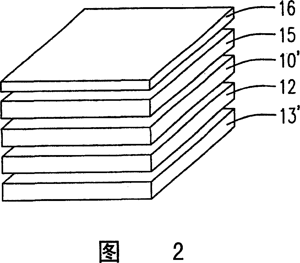 Light polarizer for display device and its production