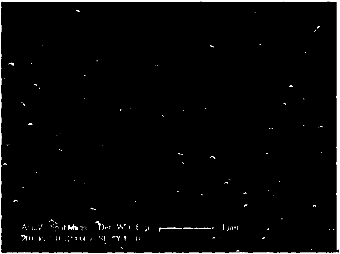 Modified semi-aromatic polyamide membrane and preparation method thereof