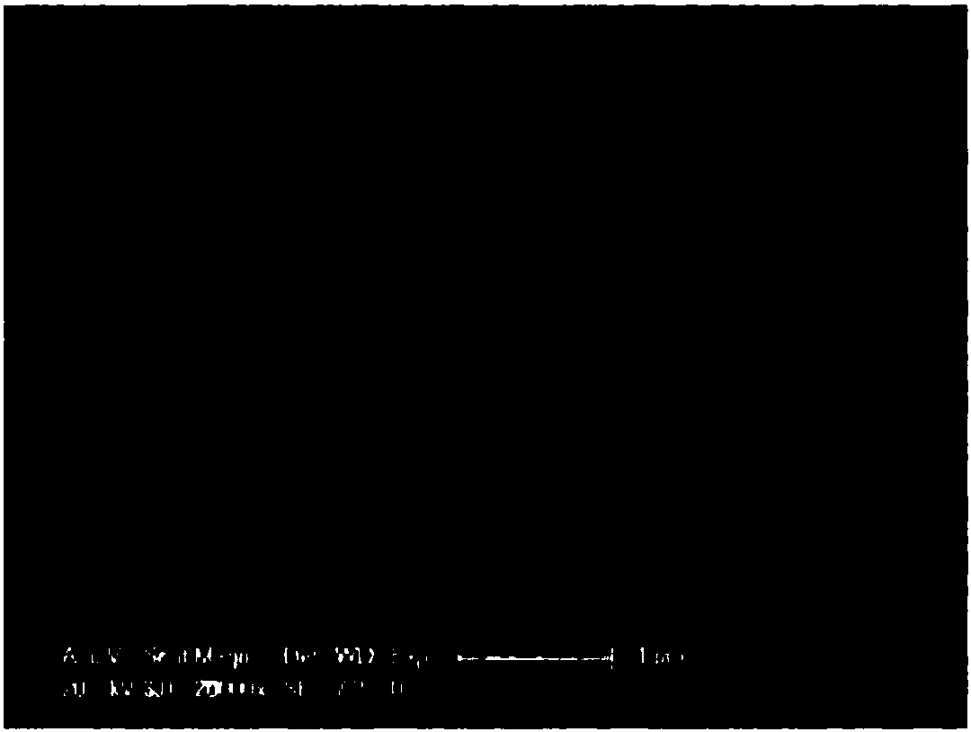 Modified semi-aromatic polyamide membrane and preparation method thereof