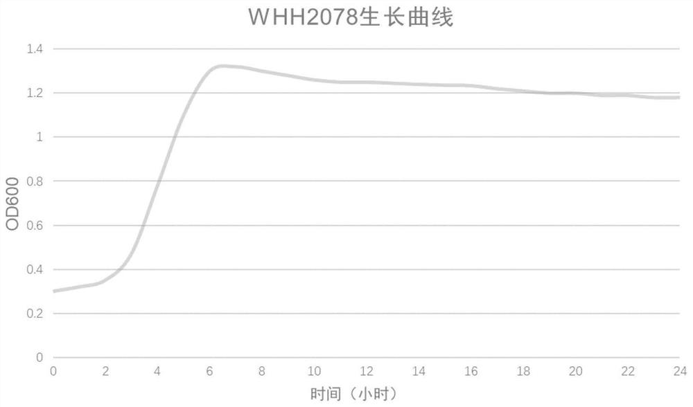 Lactococcus lactis with depression improving effect, and application thereof