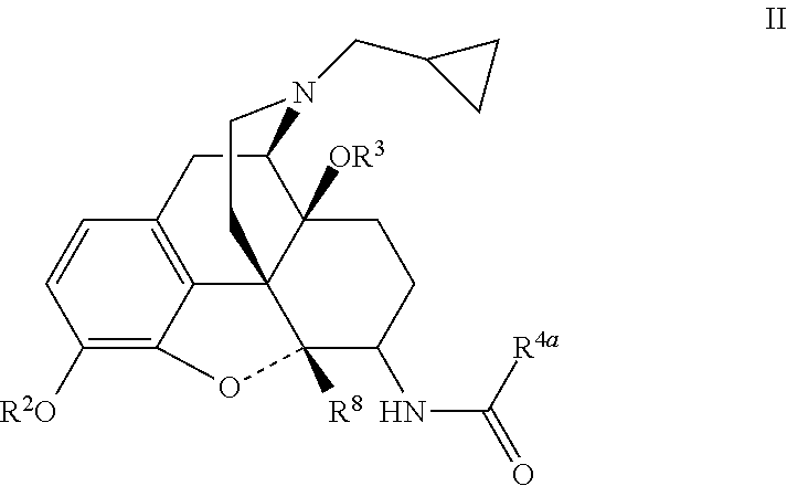 6-AMIDO DERIVATIVES OF 4, 5-a EPOXYMORPHINANS FOR THE TREATMENT OF PAIN