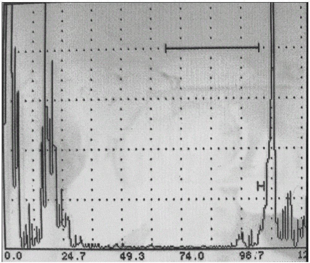 A Surface Wave In-Situ Flaw Detection Method for Coated Rotor Blades