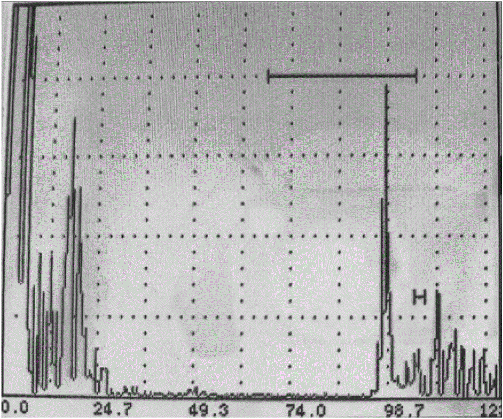 A Surface Wave In-Situ Flaw Detection Method for Coated Rotor Blades