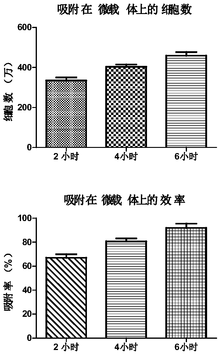 Three-dimensional micro-carrier cell adsorption culture method