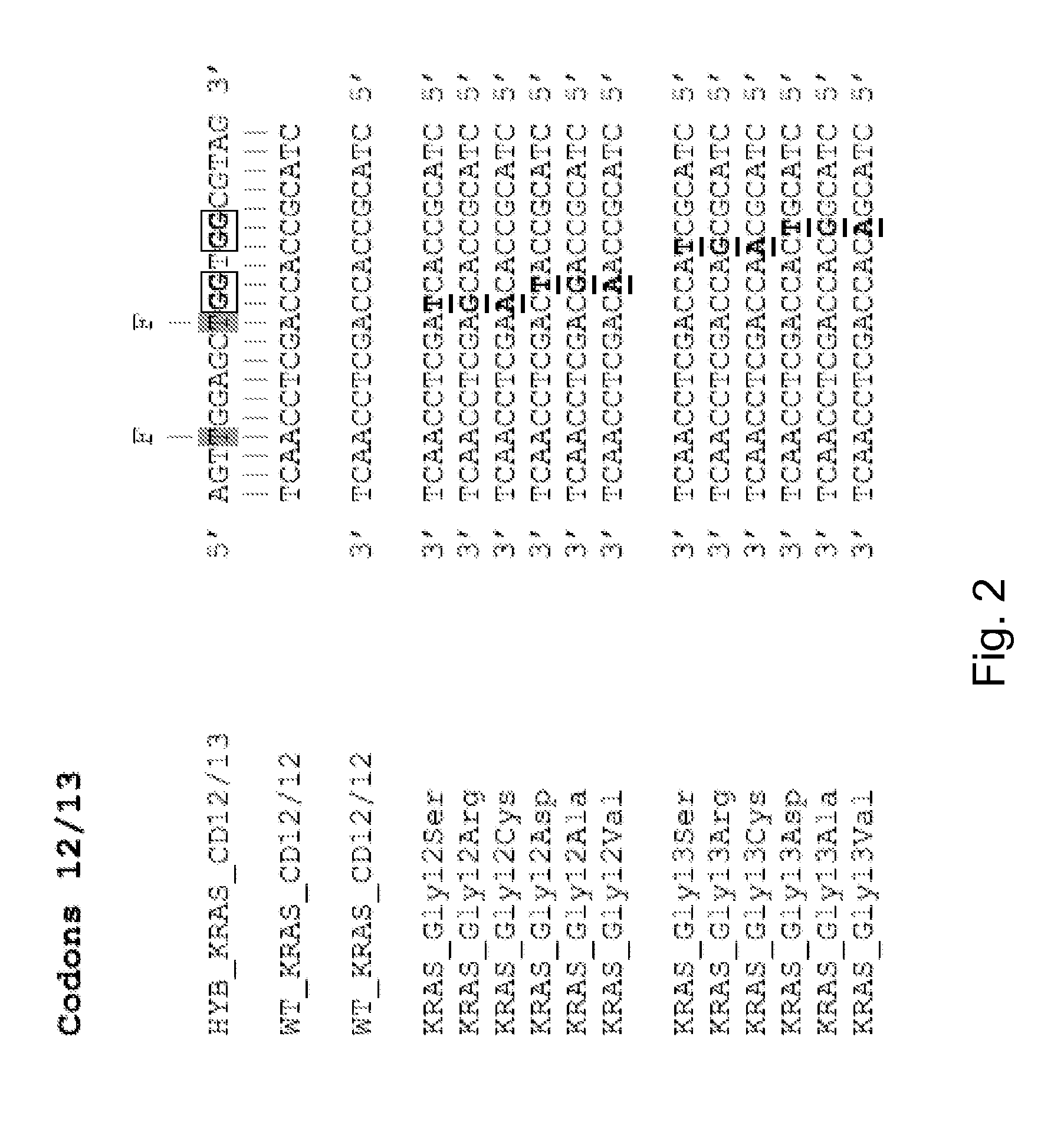 Mutational analysis