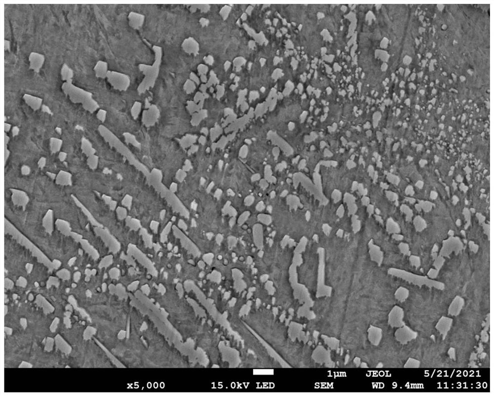 Nanocrystalline stainless steel for paper pulp millstone and preparation method thereof