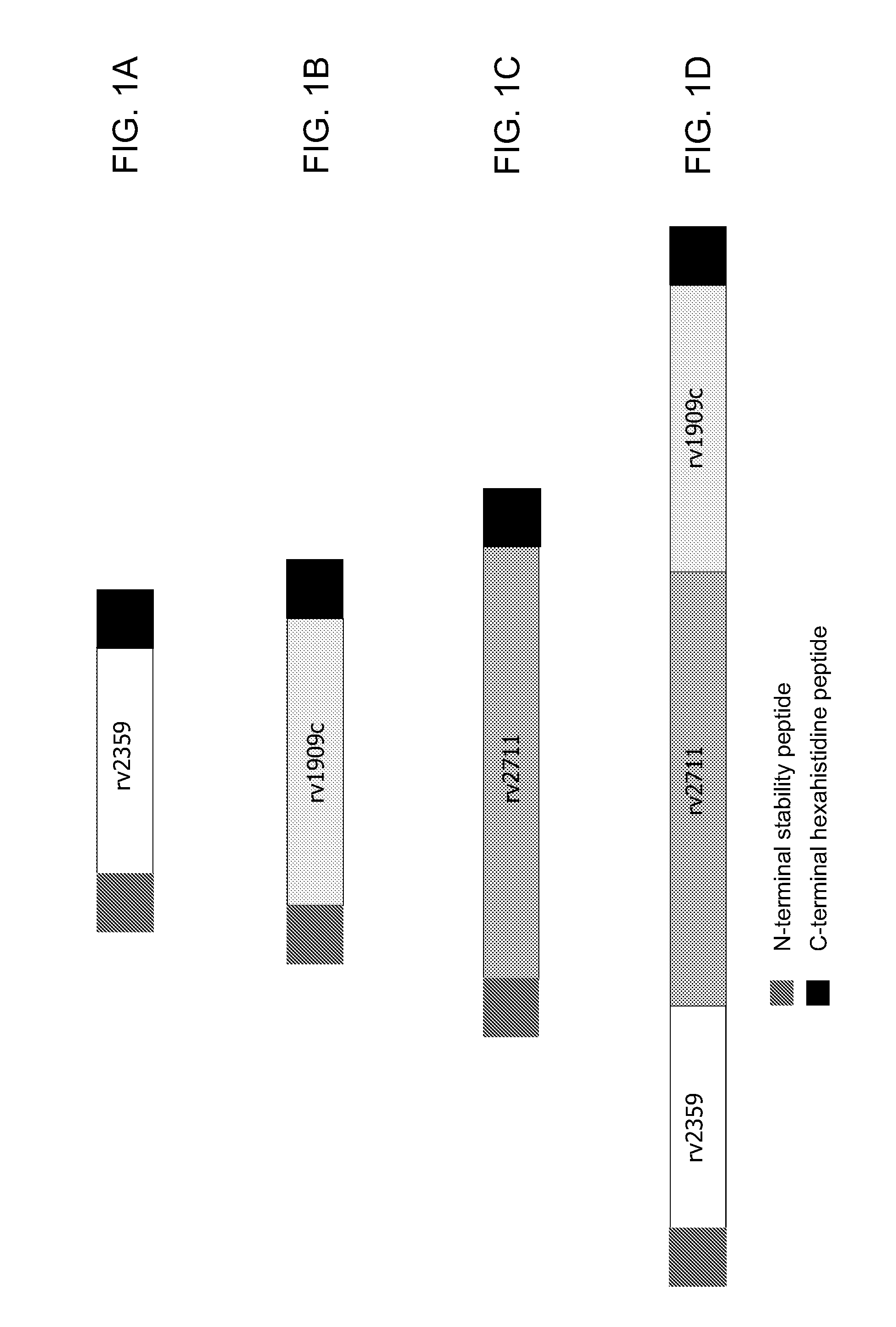 Compositions and methods for the treatment or prevention of tuberculosis