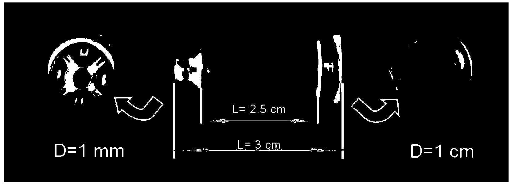 Method for separating apoplast juice from plant stem tissues