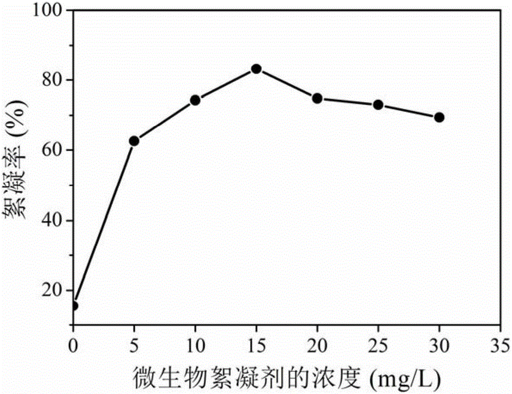 Microbial flocculating agent generated by paenibacillus and applications thereof